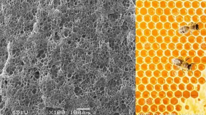 epp發(fā)泡聚丙烯(xi)的顯微結(jié)構，可以看(kàn)到這是種(zhong)連續閉孔(kong)結構，類似(sì)于蜂窩